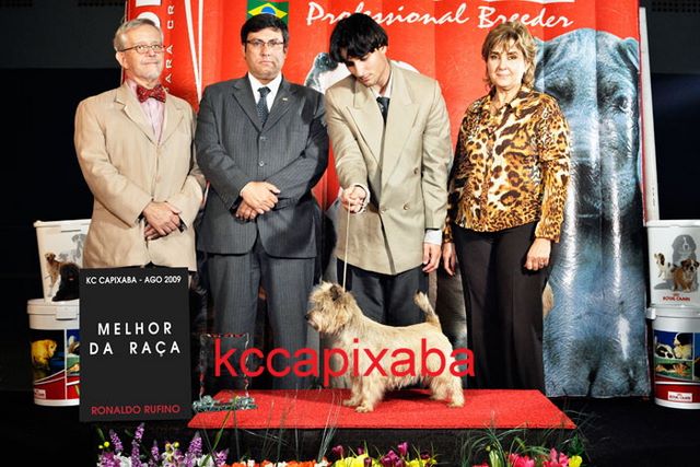 Clique sobre a foto para fechar